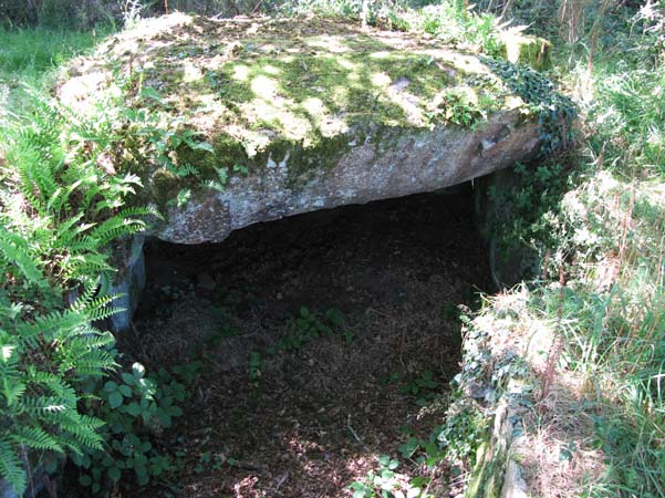 Dolmens de Kervilor-Man&eacute; Bras